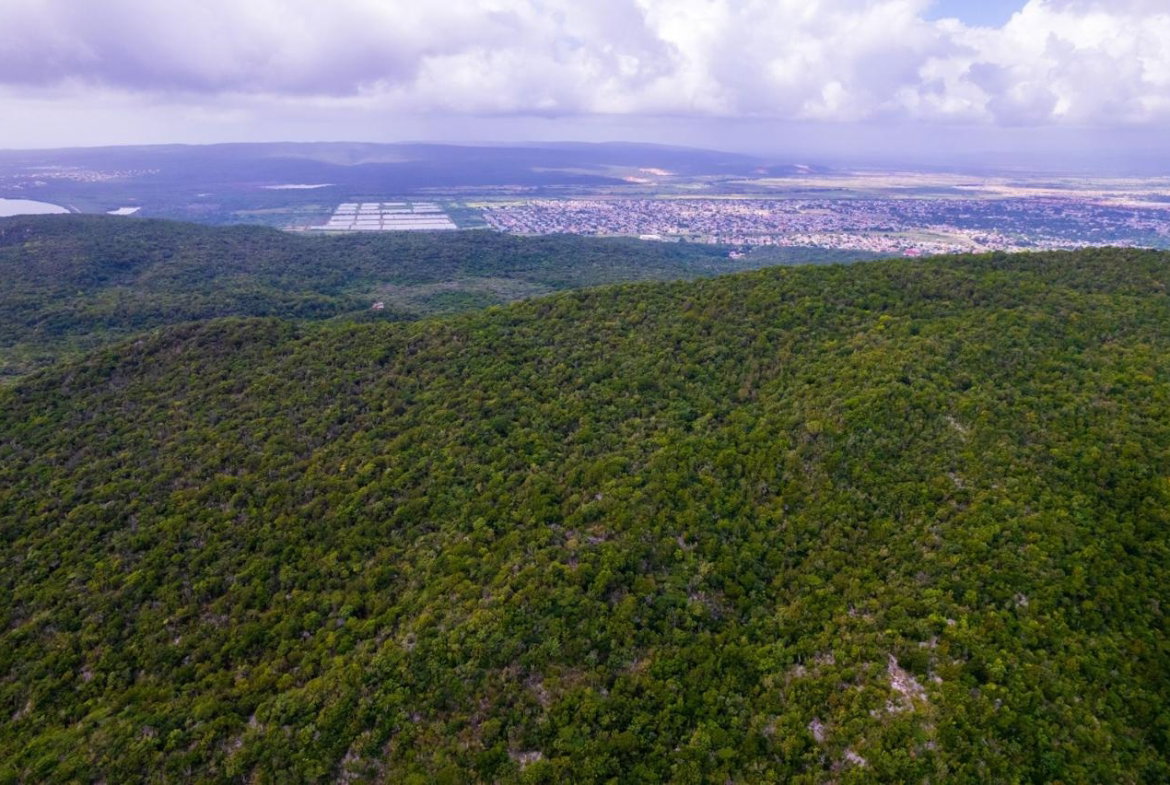 Eighteenth image of Land at Port Henderson in Port Henderson, St. Catherine, Jamaica - property is For Sale
