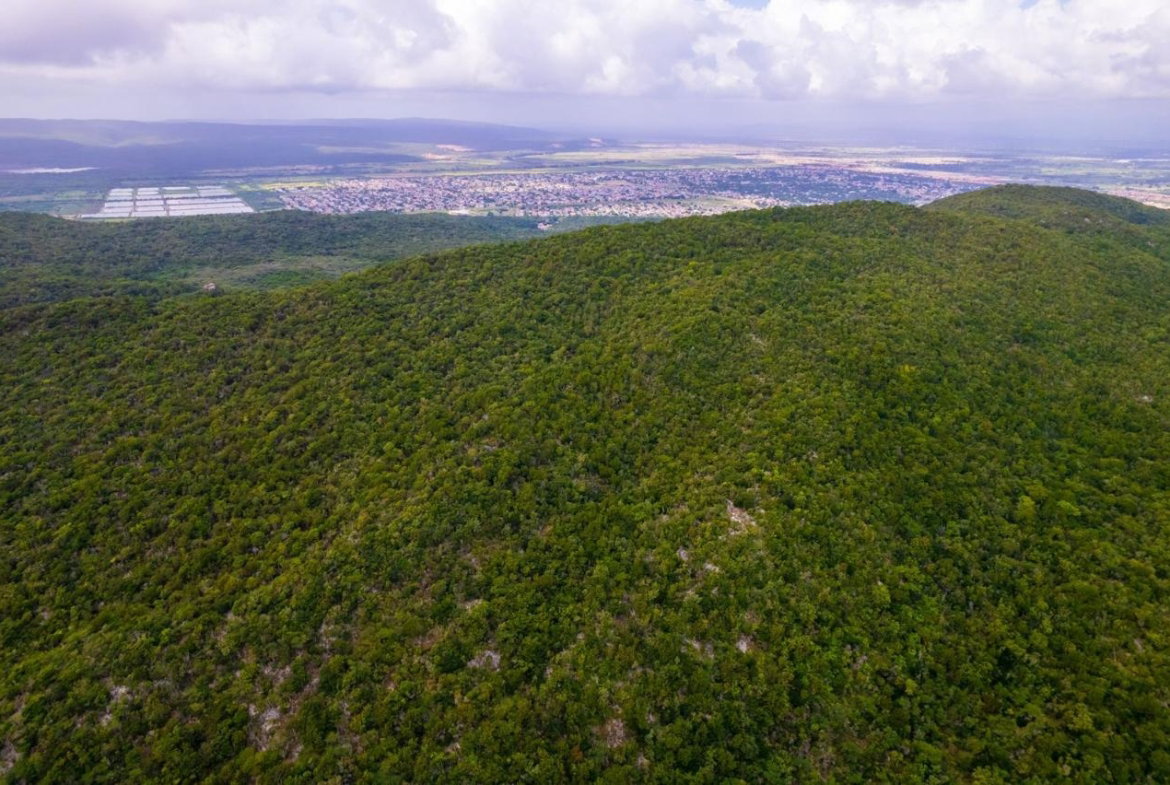 Nineteenth image of Land at Port Henderson in Port Henderson, St. Catherine, Jamaica - property is For Sale