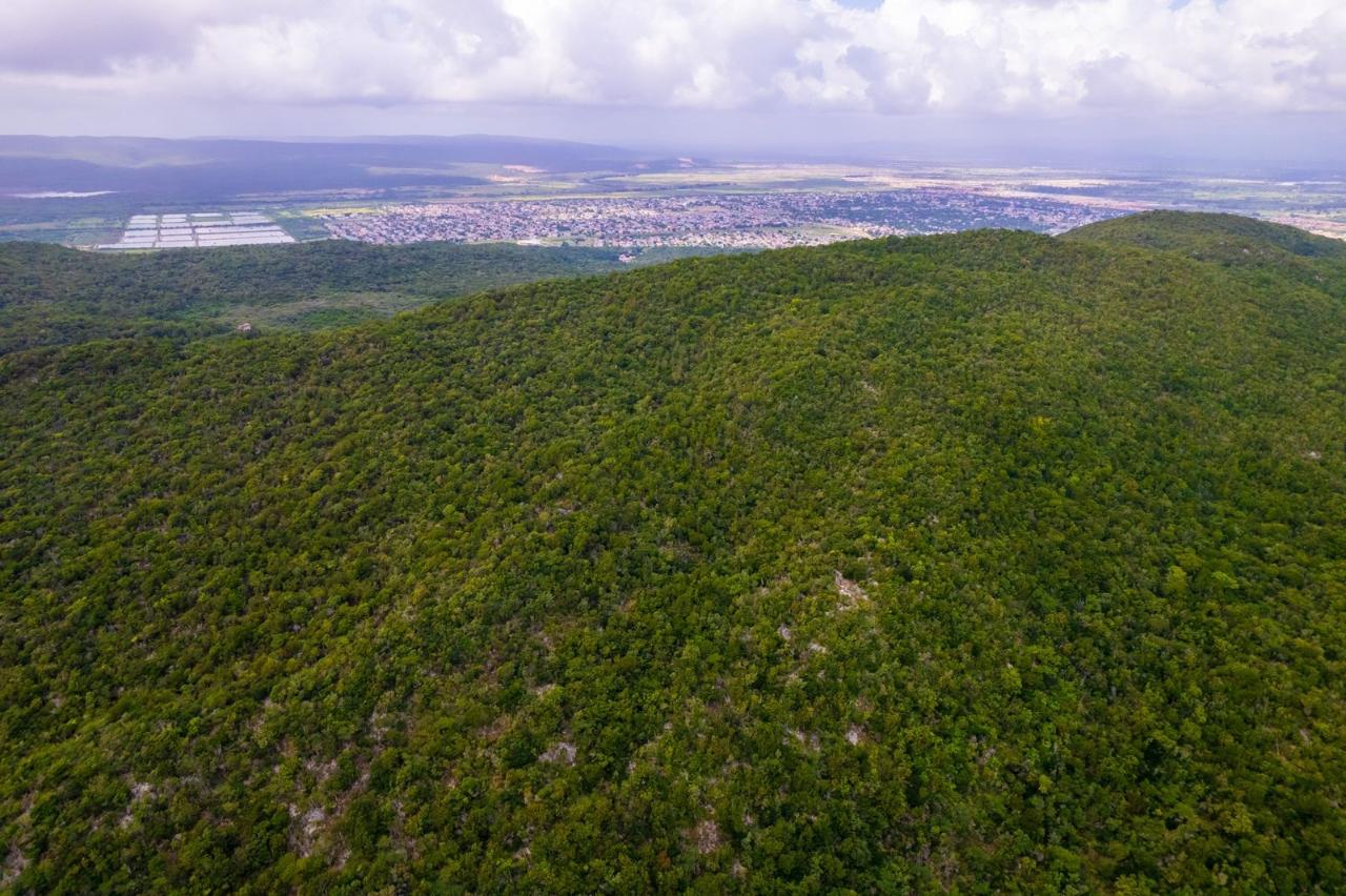 Nineteenth image of Land at Port Henderson in Port Henderson, St. Catherine, Jamaica - property is For Sale