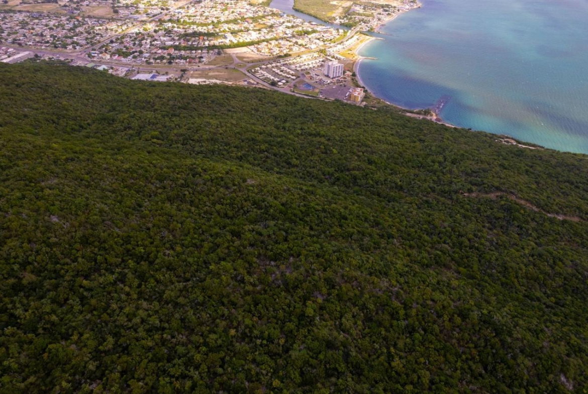 Twenty-First image of Land at Port Henderson in Port Henderson, St. Catherine, Jamaica - property is For Sale