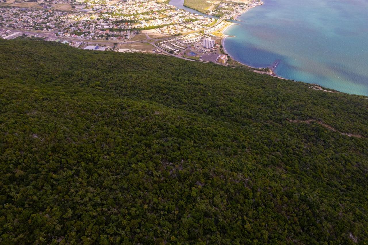 Twenty-First image of Land at Port Henderson in Port Henderson, St. Catherine, Jamaica - property is For Sale