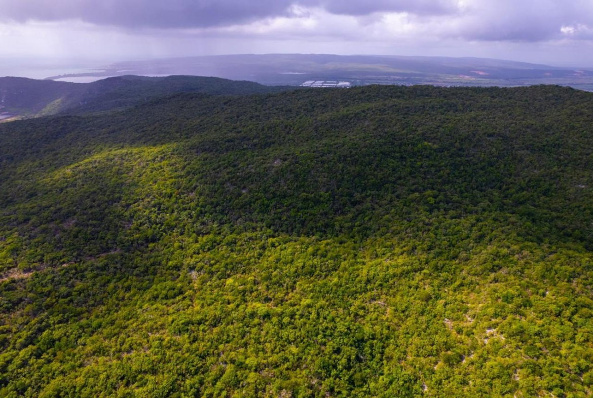 Twenty-Second image of Land at Port Henderson in Port Henderson, St. Catherine, Jamaica - property is For Sale