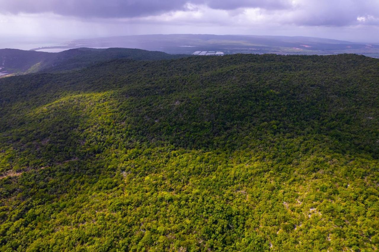 Twenty-Second image of Land at Port Henderson in Port Henderson, St. Catherine, Jamaica - property is For Sale
