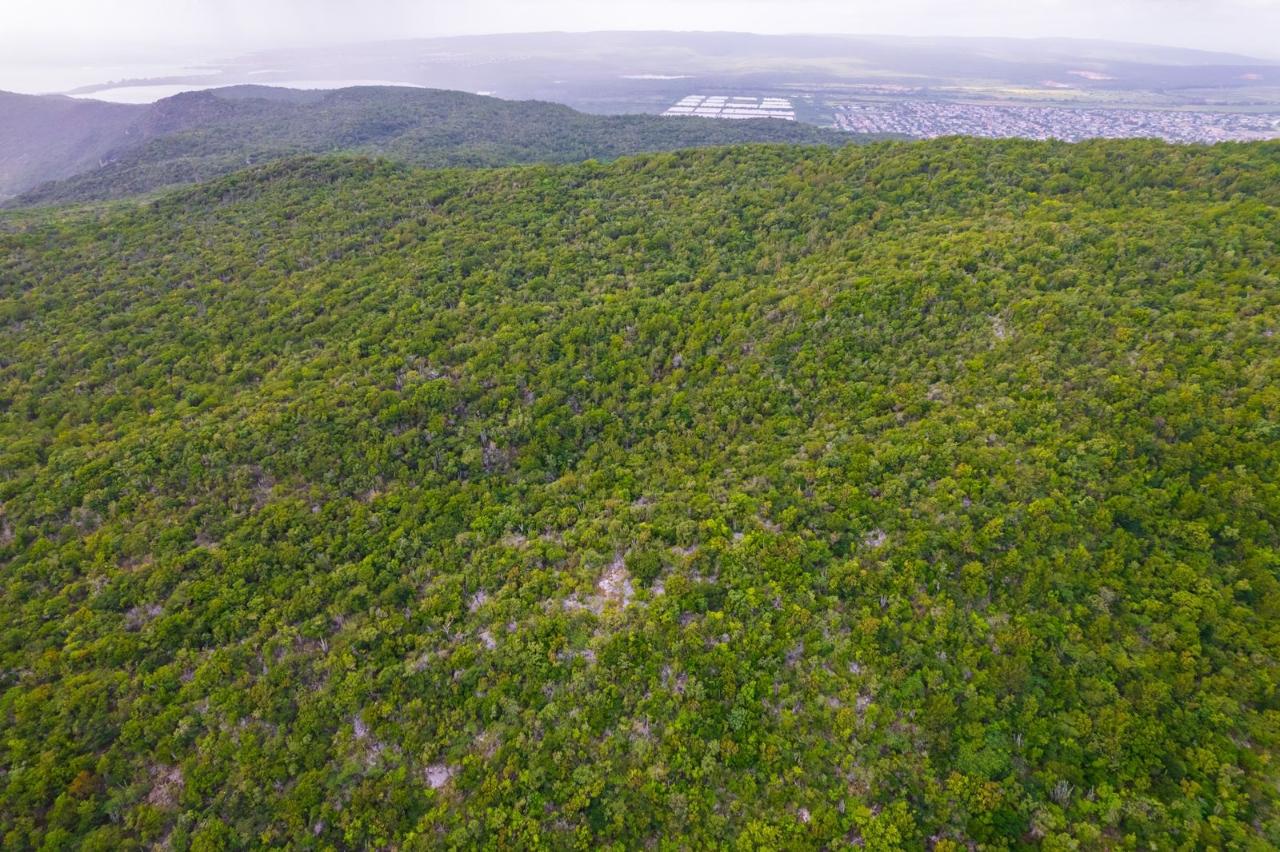 Twenty-Third image of Land at Port Henderson in Port Henderson, St. Catherine, Jamaica - property is For Sale