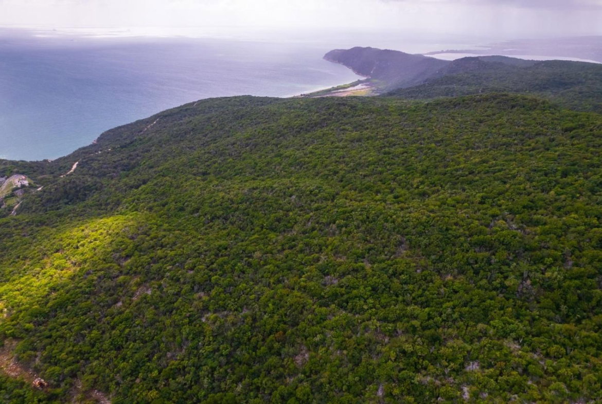 Twenty-Fourth image of Land at Port Henderson in Port Henderson, St. Catherine, Jamaica - property is For Sale