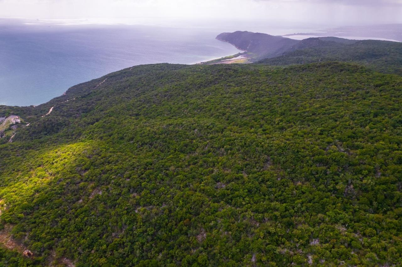 Twenty-Fourth image of Land at Port Henderson in Port Henderson, St. Catherine, Jamaica - property is For Sale