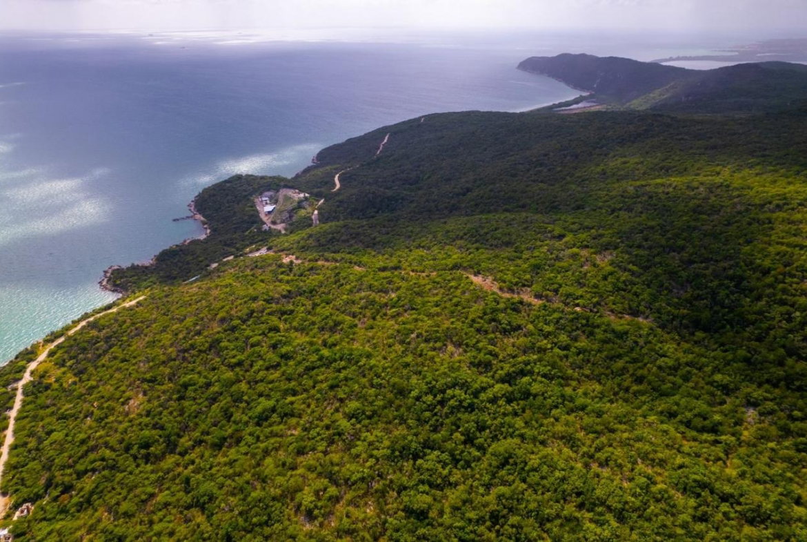 Twenty-Fifth image of Land at Port Henderson in Port Henderson, St. Catherine, Jamaica - property is For Sale