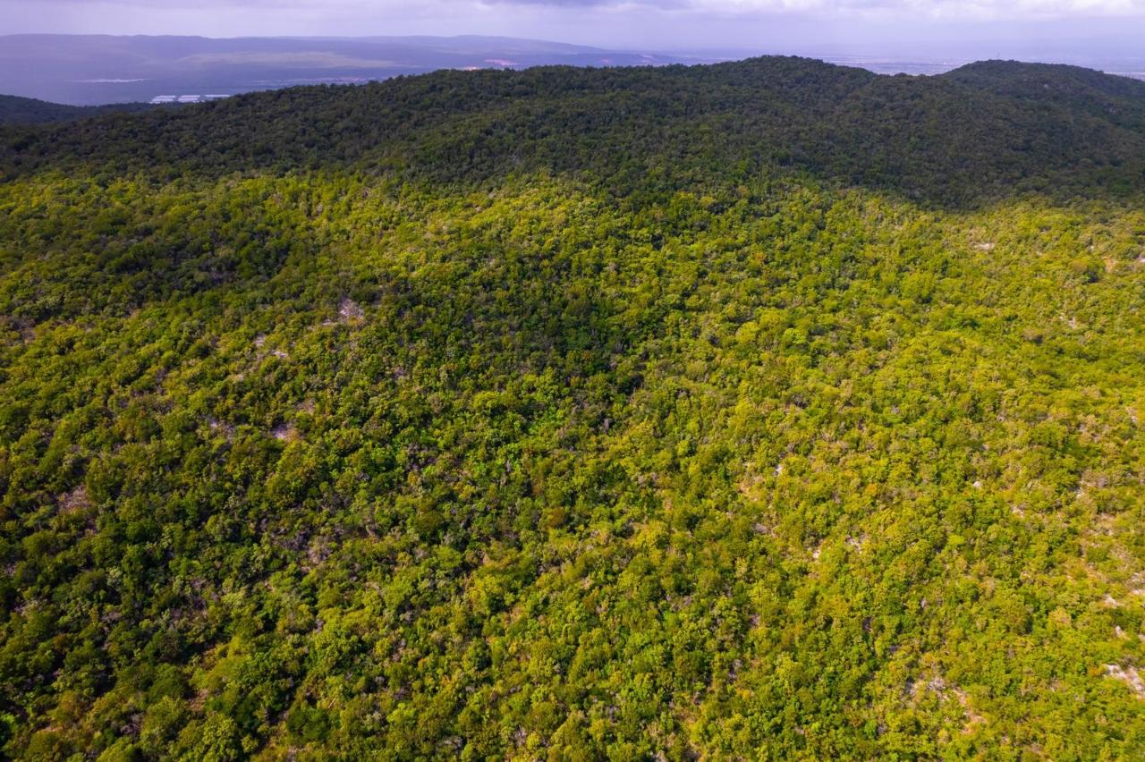 Twenty-Sixth image of Land at Port Henderson in Port Henderson, St. Catherine, Jamaica - property is For Sale