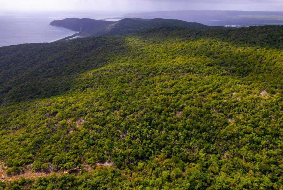 Twenty-Seventh image of Land at Port Henderson in Port Henderson, St. Catherine, Jamaica - property is For Sale