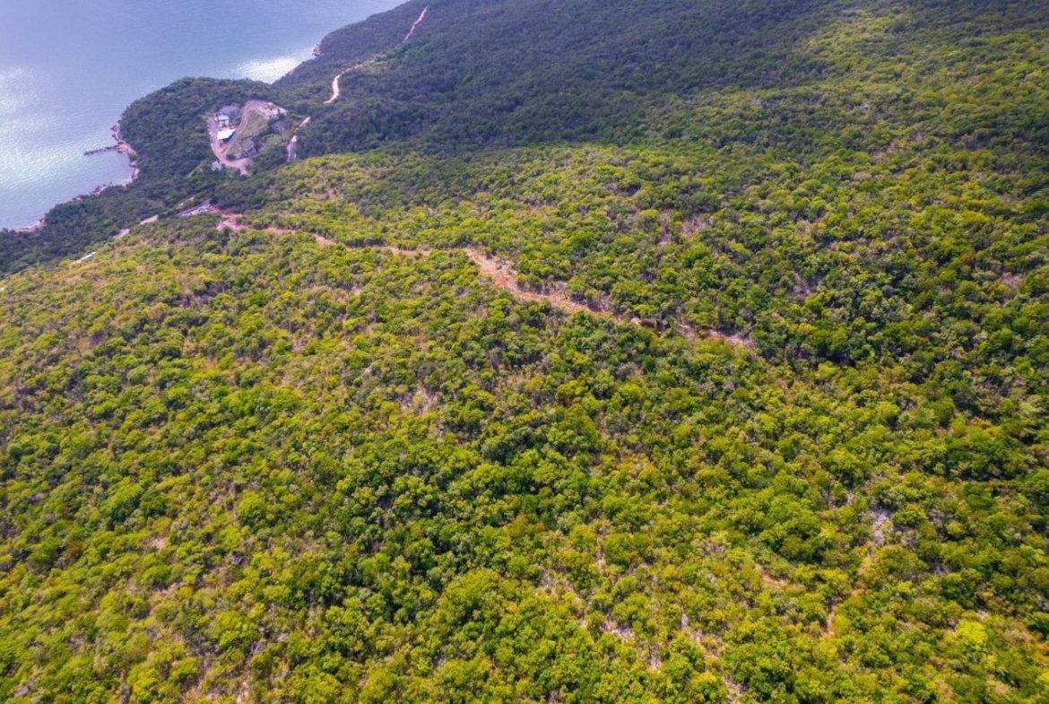 Sixth image of Land at Port Henderson in Port Henderson, St. Catherine, Jamaica - property is For Sale