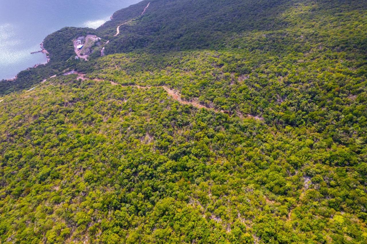 Sixth image of Land at Port Henderson in Port Henderson, St. Catherine, Jamaica - property is For Sale