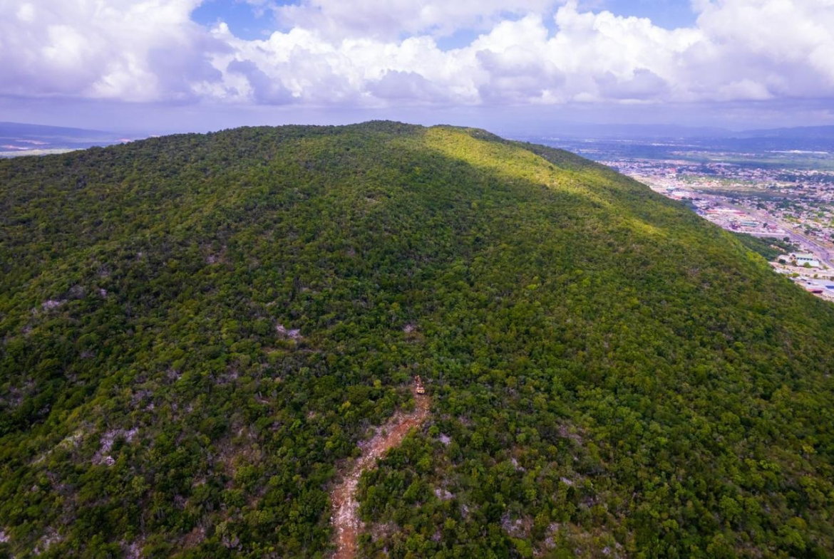 Eighth image of Land at Port Henderson in Port Henderson, St. Catherine, Jamaica - property is For Sale