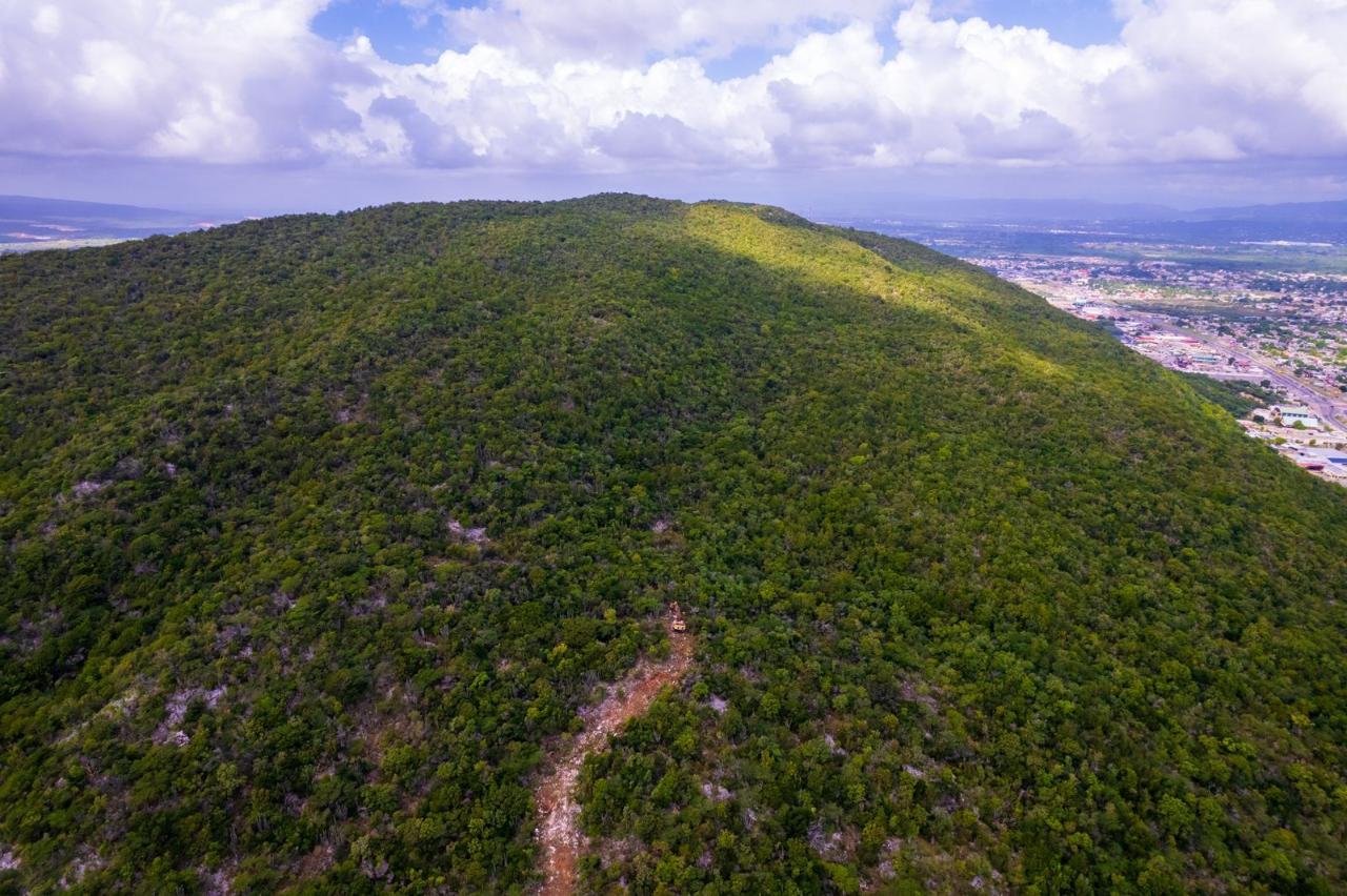 Eighth image of Land at Port Henderson in Port Henderson, St. Catherine, Jamaica - property is For Sale