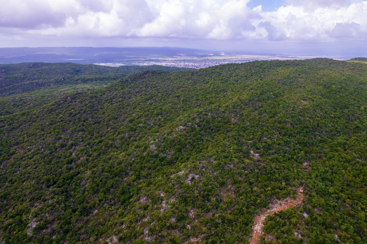 Tenth image of Land at Port Henderson in Port Henderson, St. Catherine, Jamaica - property is For Sale