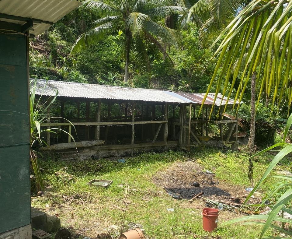 Second image of Lot- Warwrick Castle Saint Mar in Retreat, St. Mary, Jamaica - property is For Sale