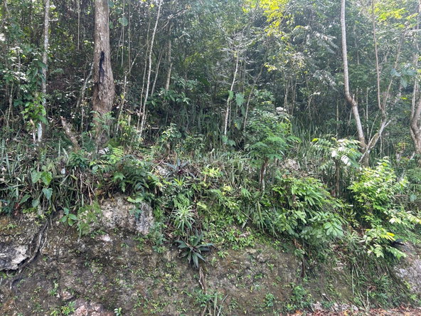 Fifth image of Lot- Warwrick Castle Saint Mar in Retreat, St. Mary, Jamaica - property is For Sale