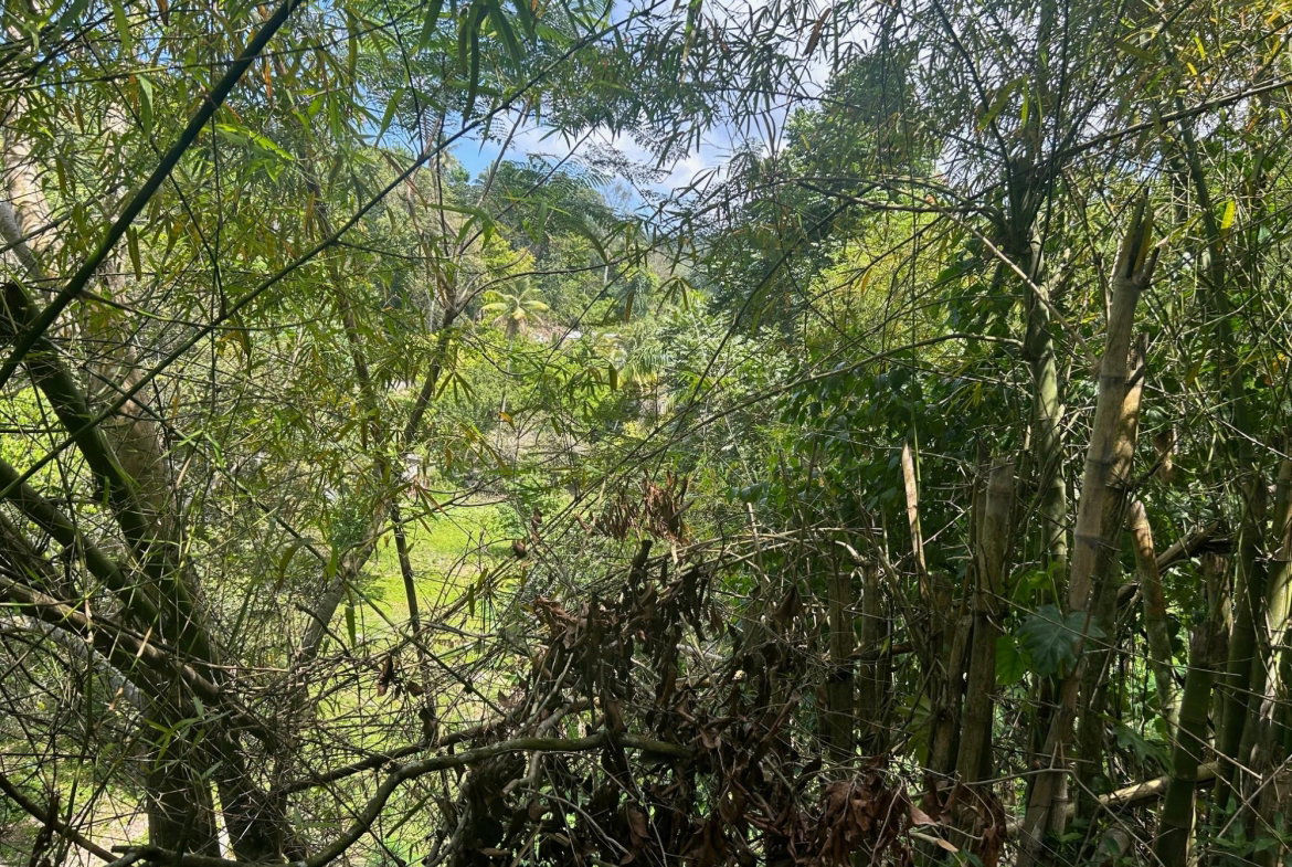 Seventh image of Lot- Warwrick Castle Saint Mar in Retreat, St. Mary, Jamaica - property is For Sale