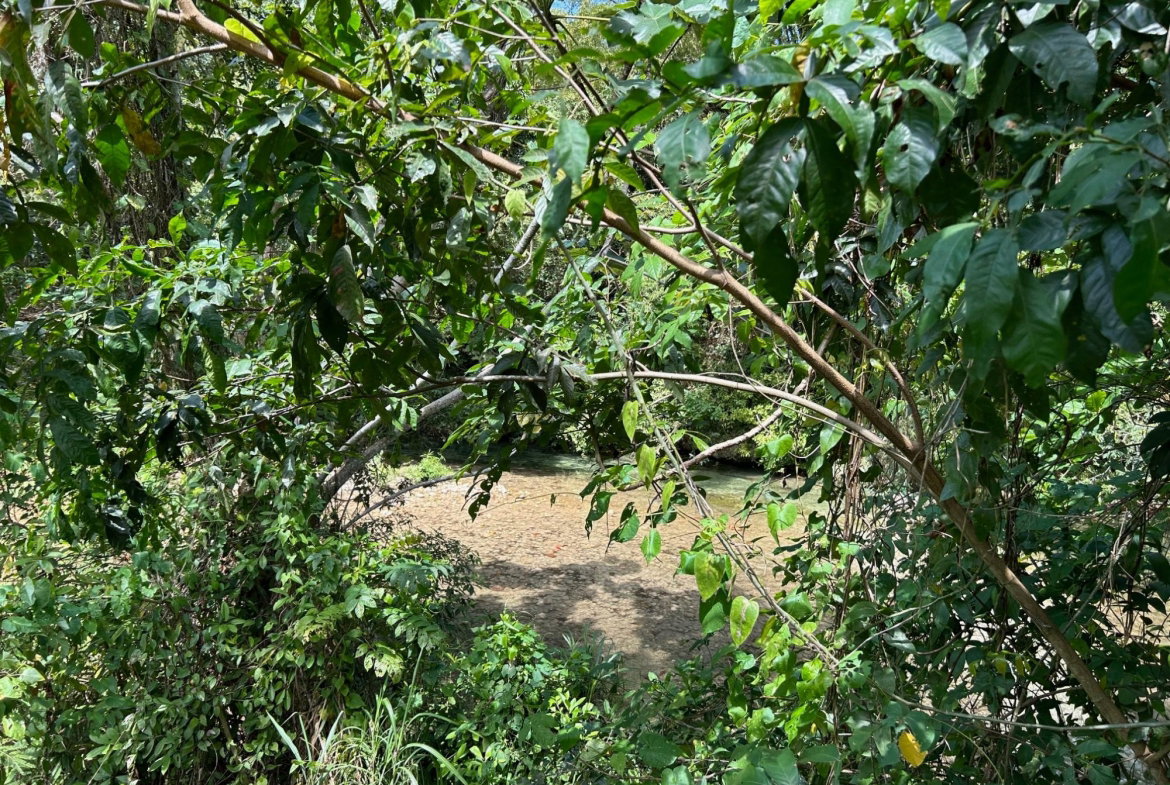 Ninth image of Lot- Warwrick Castle Saint Mar in Retreat, St. Mary, Jamaica - property is For Sale