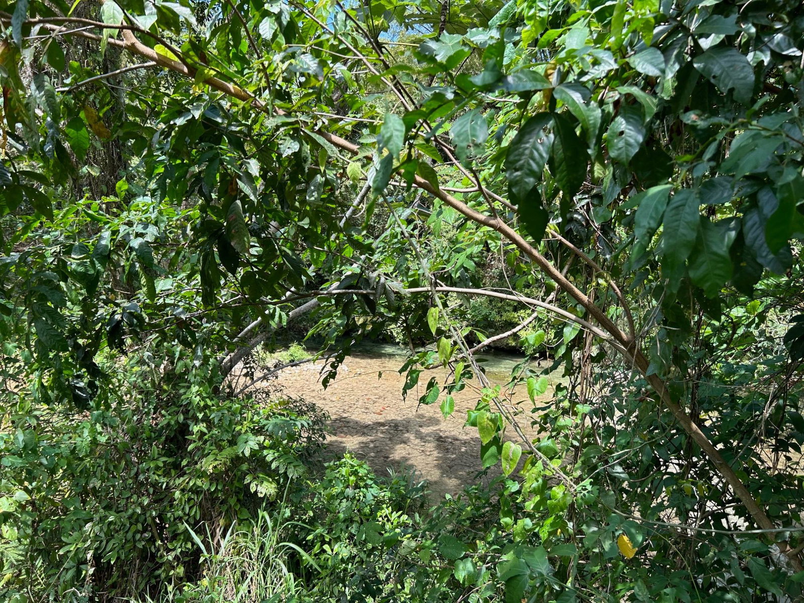 Ninth image of Lot- Warwrick Castle Saint Mar in Retreat, St. Mary, Jamaica - property is For Sale