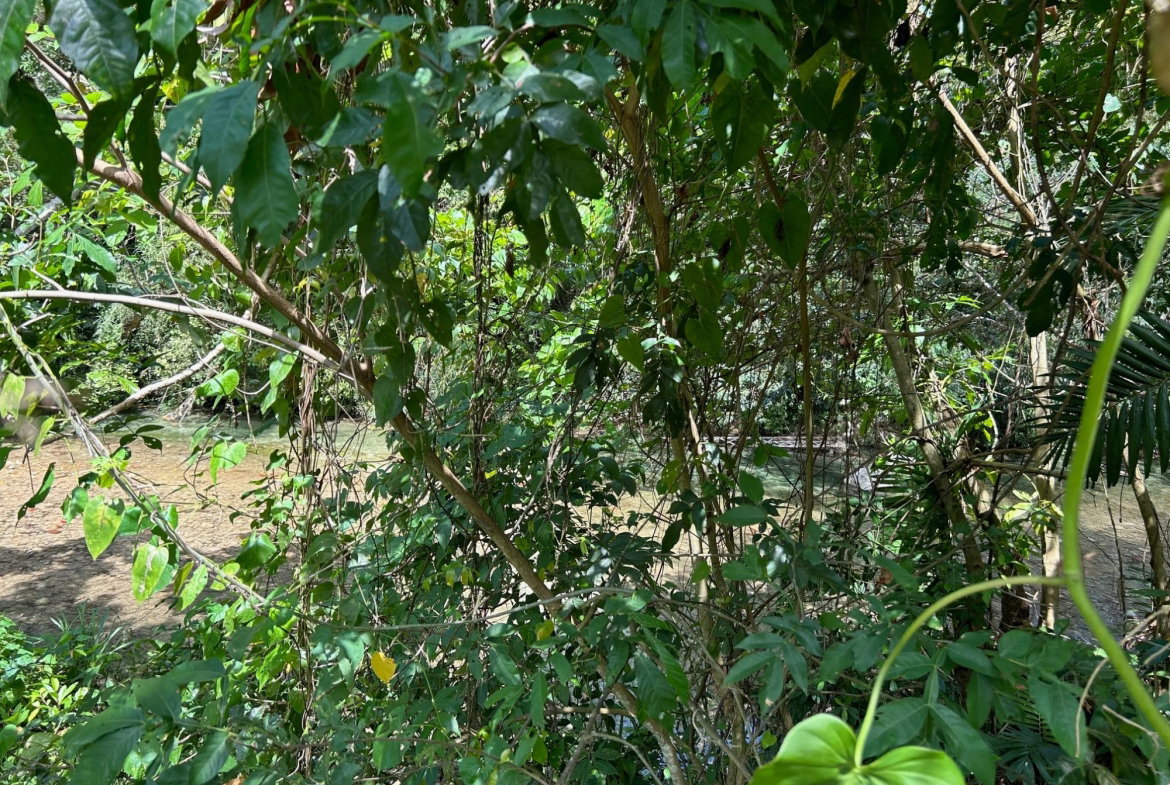 Tenth image of Lot- Warwrick Castle Saint Mar in Retreat, St. Mary, Jamaica - property is For Sale