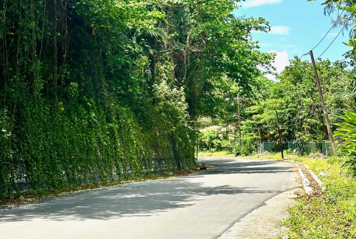 Tenth image of 10-11 San San Estate, Port Anto in SAN SAN, Portland, Jamaica - property is For Sale