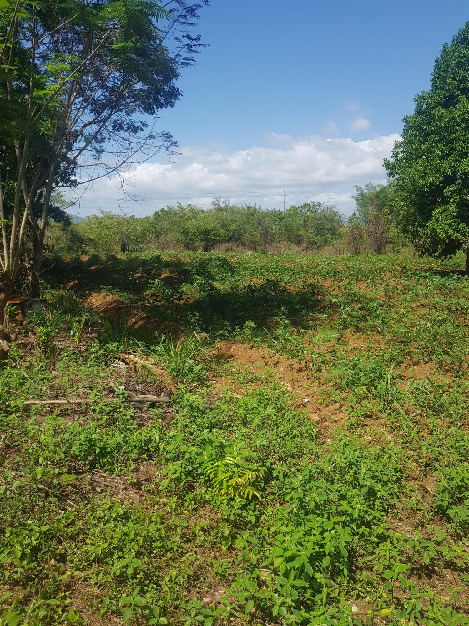 Second image of Santa Cruz in Santa Cruz, St. Elizabeth, Jamaica - property is For Sale