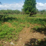 First image of Santa Cruz in Santa Cruz, St. Elizabeth, Jamaica - property is For Sale