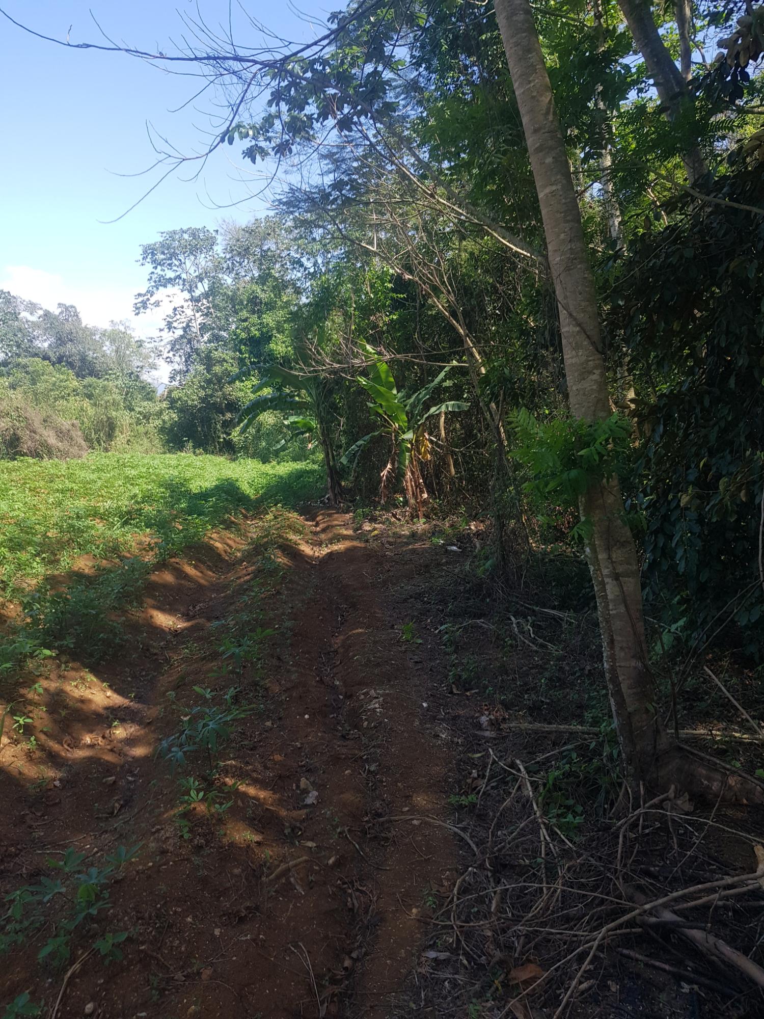 Third image of Santa Cruz in Santa Cruz, St. Elizabeth, Jamaica - property is For Sale