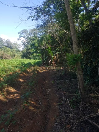 Third image of Santa Cruz in Santa Cruz, St. Elizabeth, Jamaica - property is For Sale
