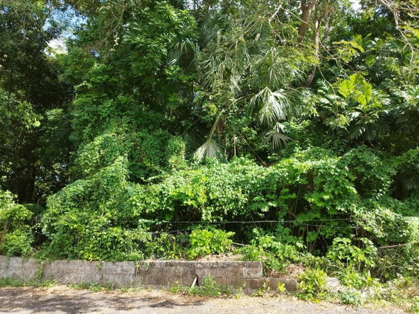 Fifth image of Santa Cruz in Santa Cruz, St. Elizabeth, Jamaica - property is For Sale