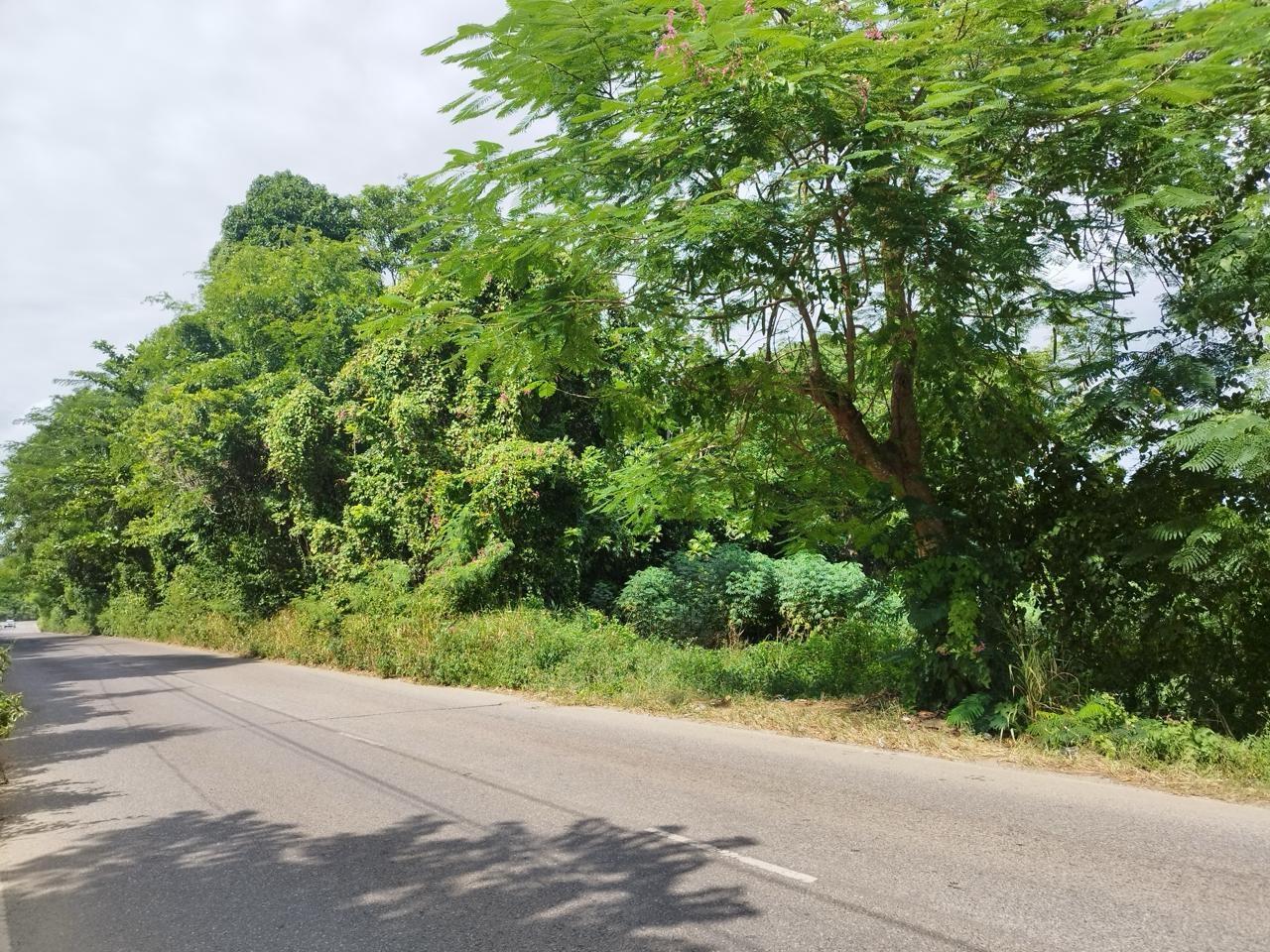 Sixth image of Santa Cruz in Santa Cruz, St. Elizabeth, Jamaica - property is For Sale