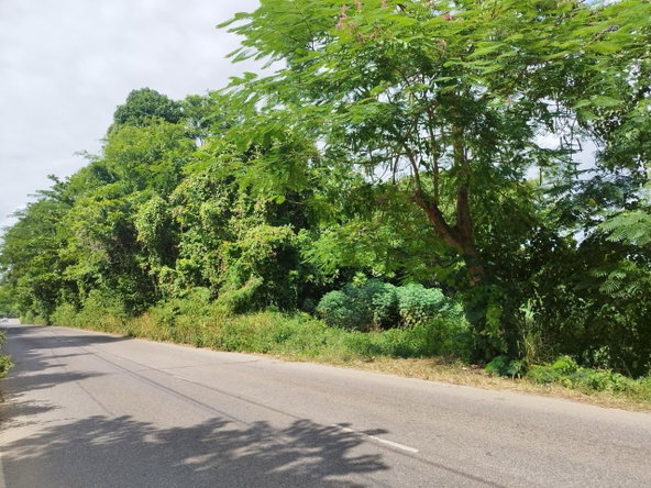 Sixth image of Santa Cruz in Santa Cruz, St. Elizabeth, Jamaica - property is For Sale