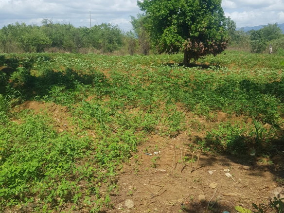First image of Santa Cruz in Santa Cruz, St. Elizabeth, Jamaica - property is For Sale