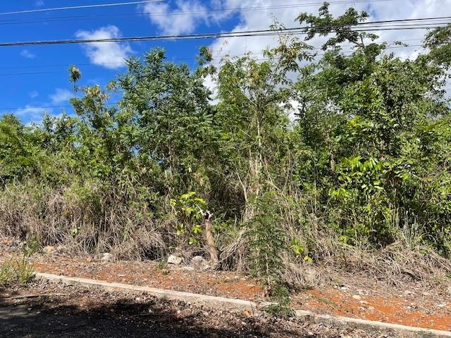 Third image of Columbia Close in Kingston 19, St. Andrew, Jamaica - property is For Sale