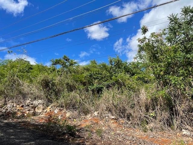 Fourth image of Columbia Close in Kingston 19, St. Andrew, Jamaica - property is For Sale