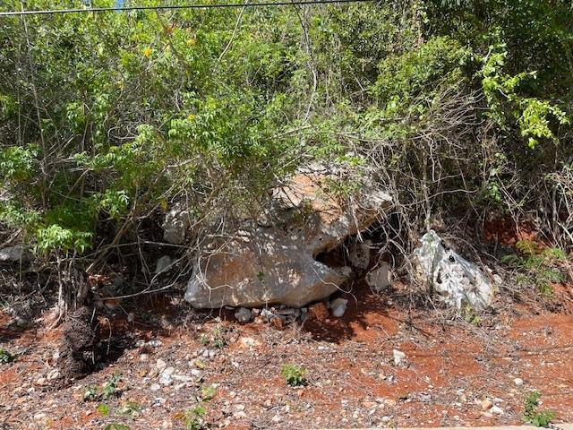 Fifth image of Columbia Close in Kingston 19, St. Andrew, Jamaica - property is For Sale