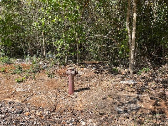 First image of Columbia Close in Kingston 19, St. Andrew, Jamaica - property is For Sale