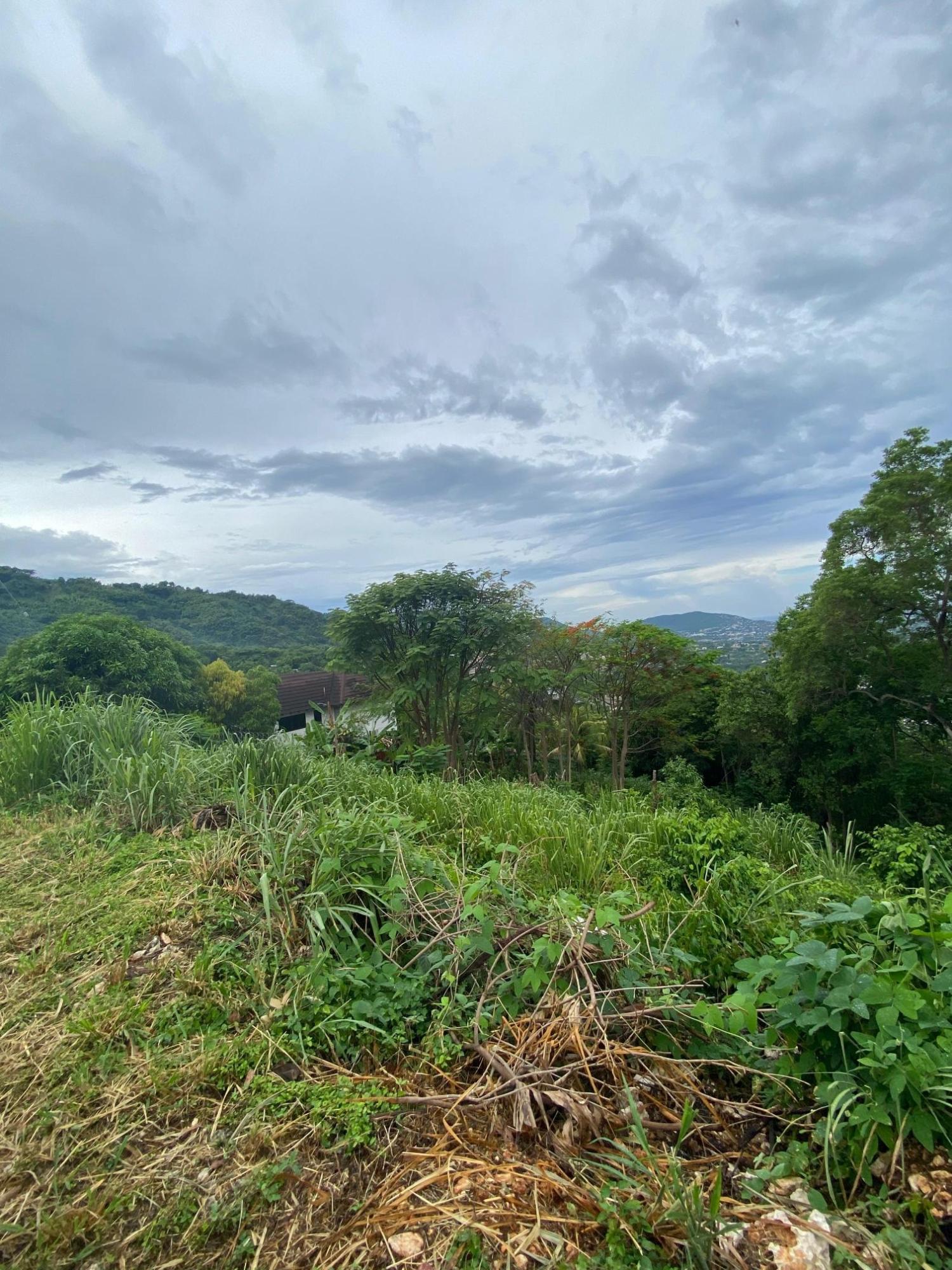 First image of 34 And 36 Hermitage Dam Road in Kingston 9, St. Andrew, Jamaica - property is For Sale