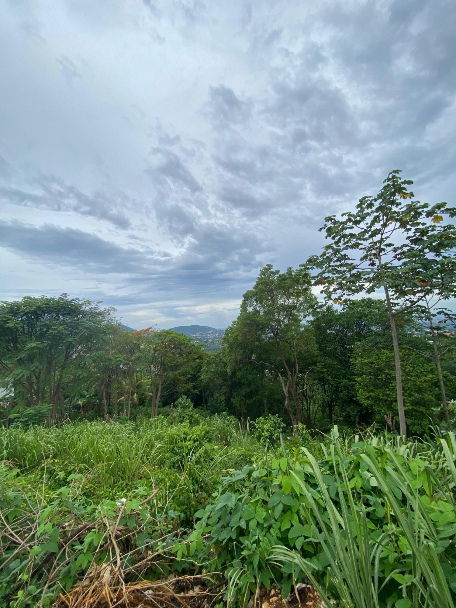 Second image of 34 And 36 Hermitage Dam Road in Kingston 9, St. Andrew, Jamaica - property is For Sale