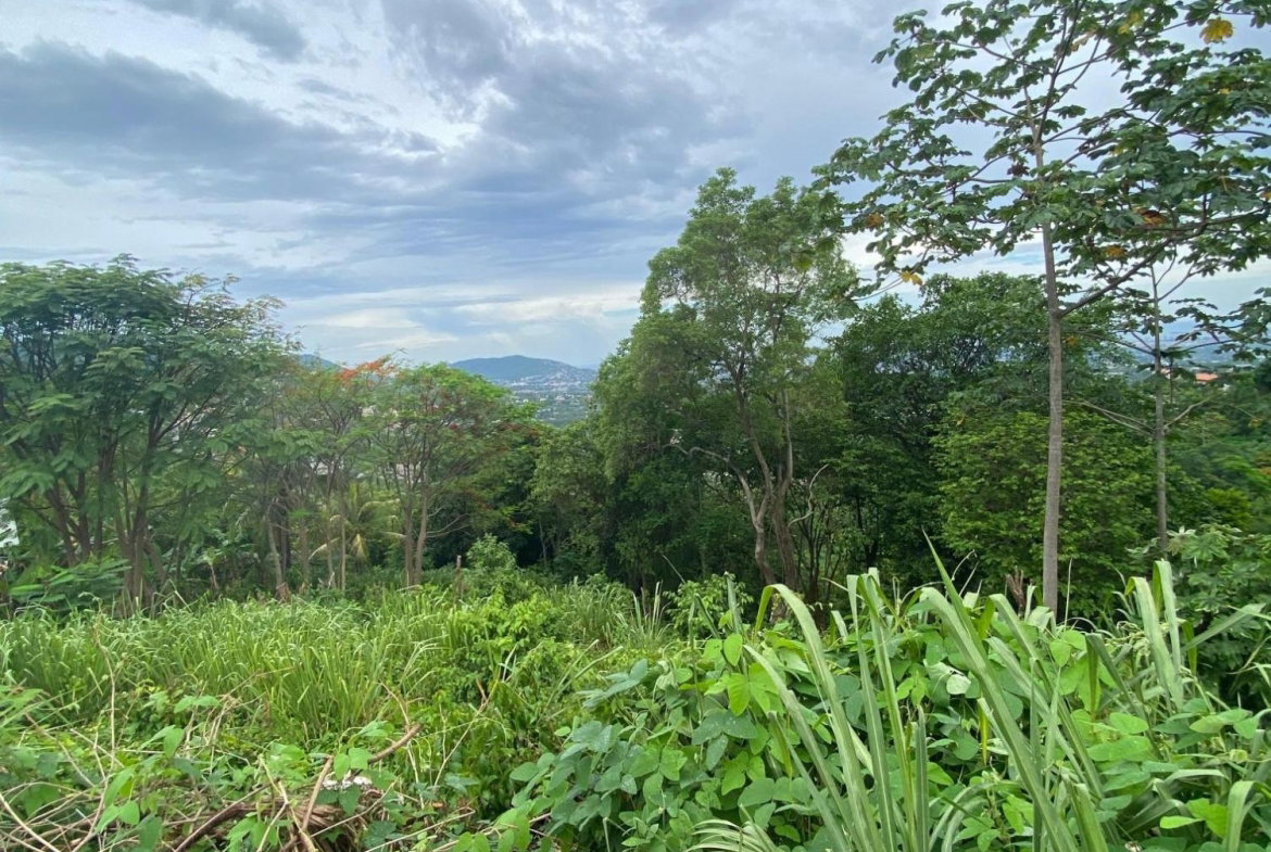 Sixth image of 34 And 36 Hermitage Dam Road in Kingston 9, St. Andrew, Jamaica - property is For Sale