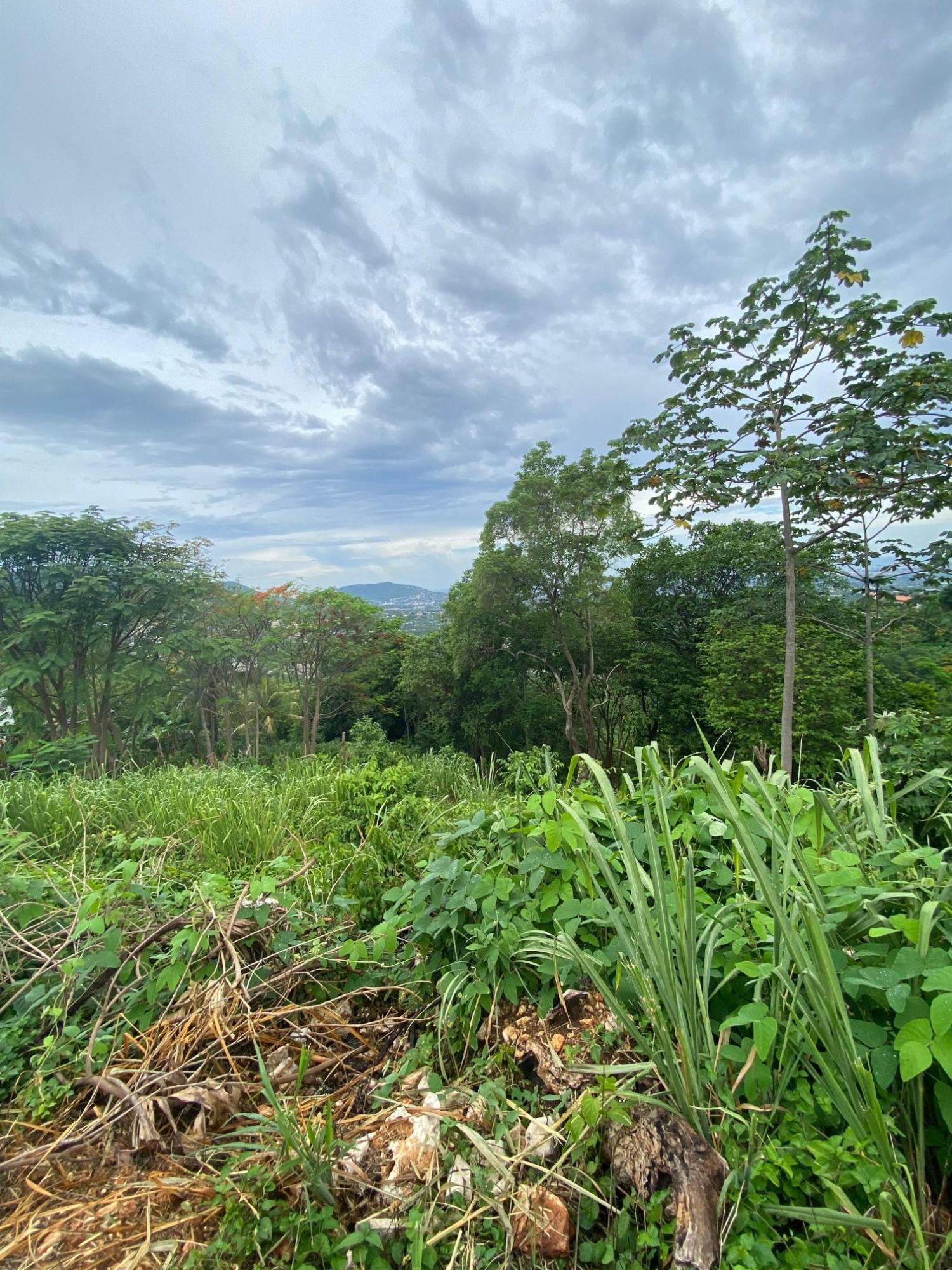 Sixth image of 34 And 36 Hermitage Dam Road in Kingston 9, St. Andrew, Jamaica - property is For Sale