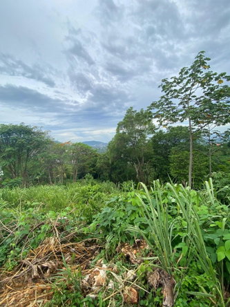 Sixth image of 34 And 36 Hermitage Dam Road in Kingston 9, St. Andrew, Jamaica - property is For Sale