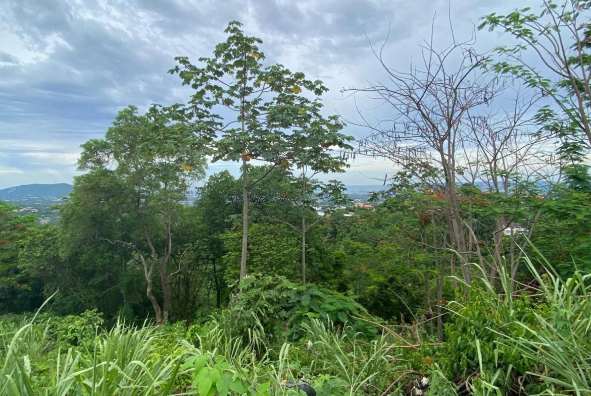 Seventh image of 34 And 36 Hermitage Dam Road in Kingston 9, St. Andrew, Jamaica - property is For Sale