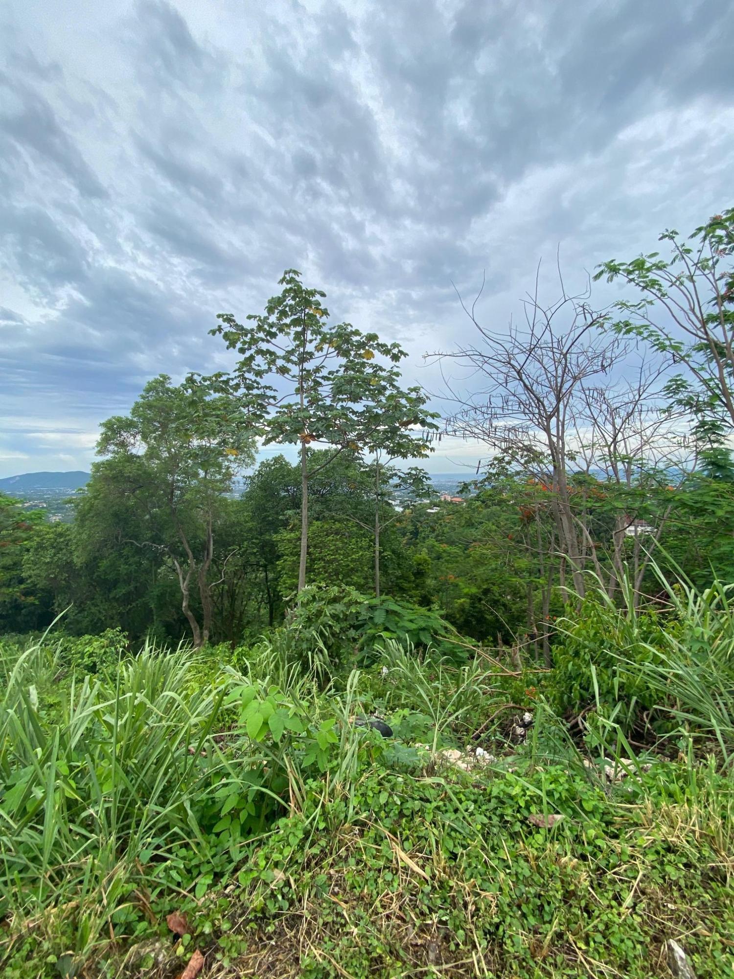 Seventh image of 34 And 36 Hermitage Dam Road in Kingston 9, St. Andrew, Jamaica - property is For Sale