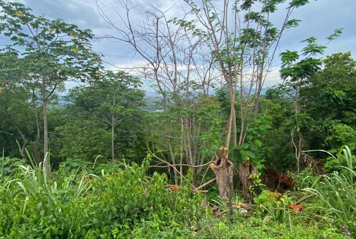 Eighth image of 34 And 36 Hermitage Dam Road in Kingston 9, St. Andrew, Jamaica - property is For Sale