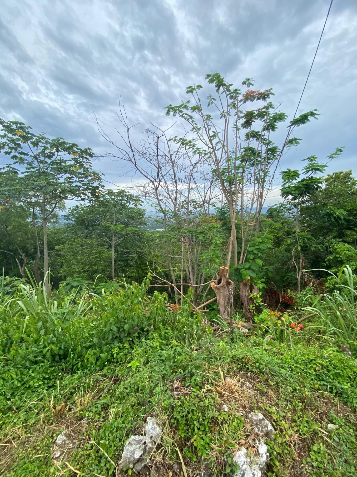 Eighth image of 34 And 36 Hermitage Dam Road in Kingston 9, St. Andrew, Jamaica - property is For Sale