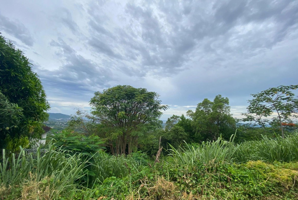 Ninth image of 34 And 36 Hermitage Dam Road in Kingston 9, St. Andrew, Jamaica - property is For Sale