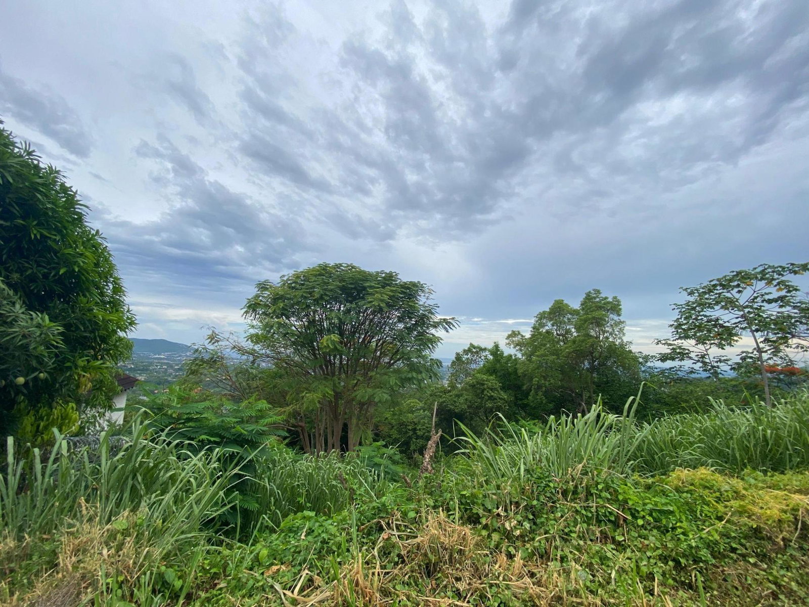 Ninth image of 34 And 36 Hermitage Dam Road in Kingston 9, St. Andrew, Jamaica - property is For Sale