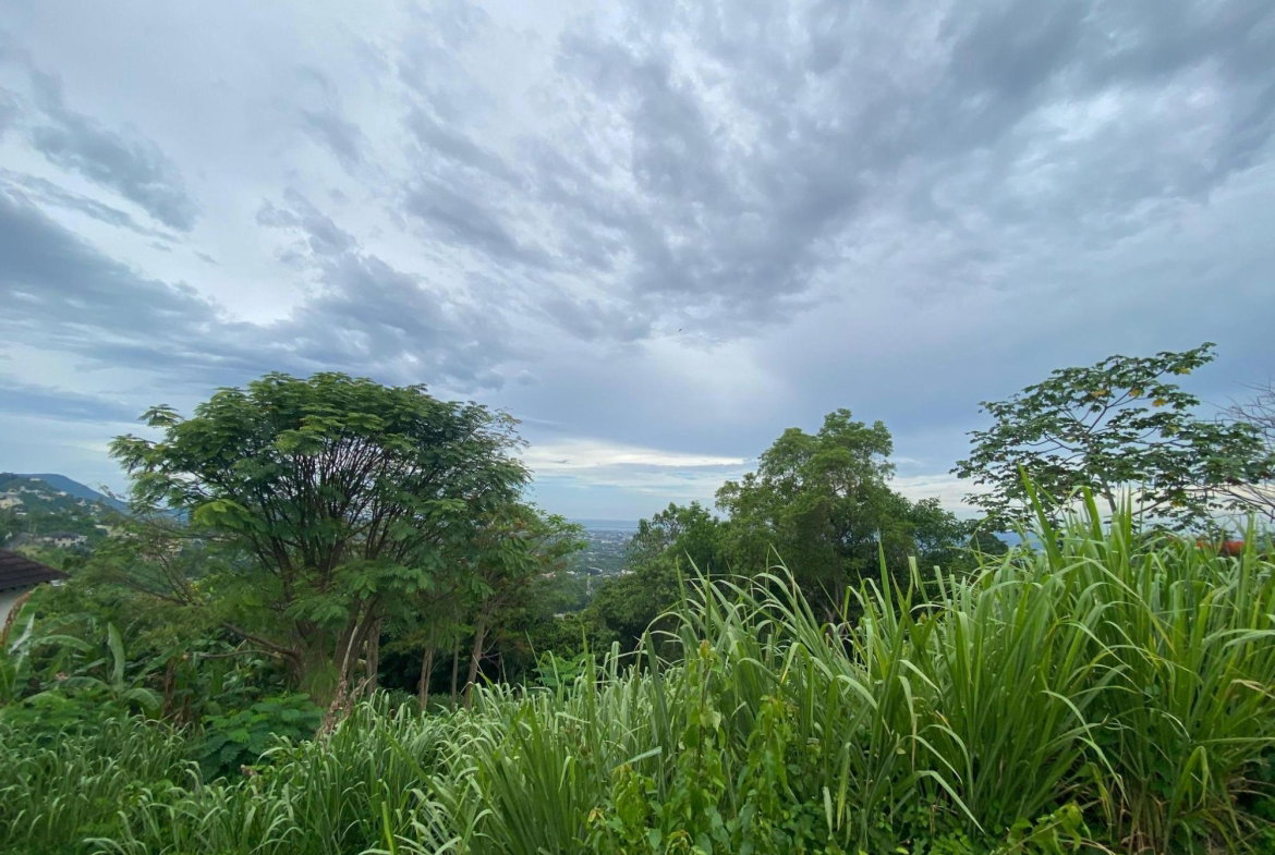 Eleventh image of 34 And 36 Hermitage Dam Road in Kingston 9, St. Andrew, Jamaica - property is For Sale