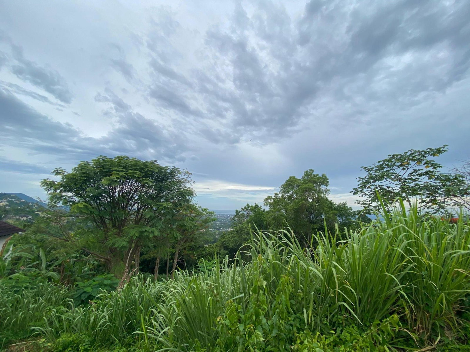 Eleventh image of 34 And 36 Hermitage Dam Road in Kingston 9, St. Andrew, Jamaica - property is For Sale